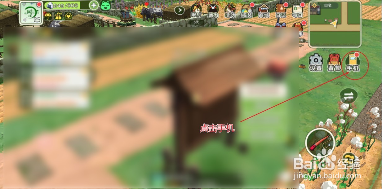 小森生活的白萝卜种子是如何获取的？