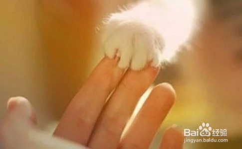 幼师如何有效的做好家长工作