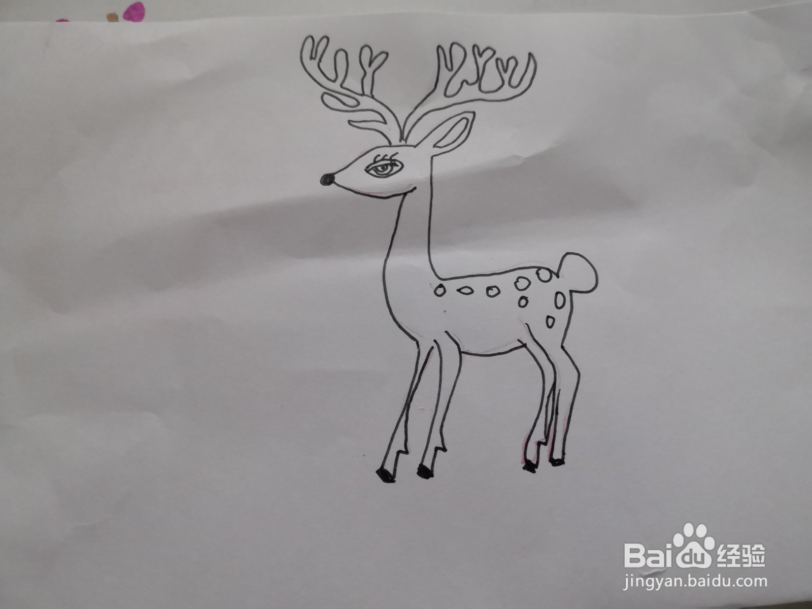 鹿简笔画图片