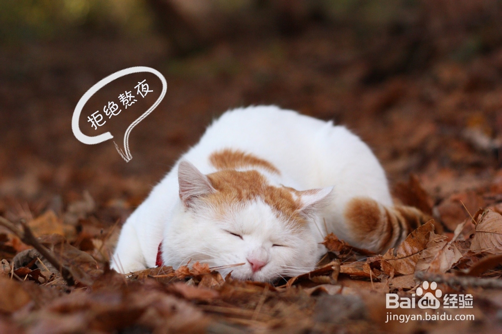 睡眠不好怎么办呢