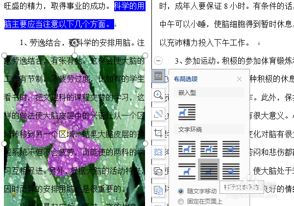 Word怎样调整图片的透明度