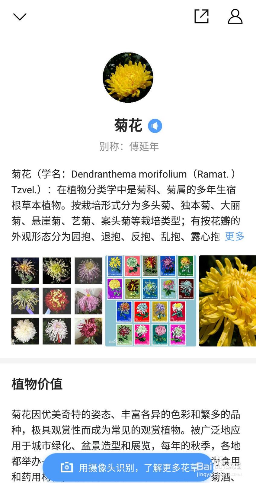 如何用手机识别各种花草！