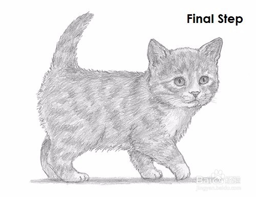 如何画一只小猫——加菲的吃货生活