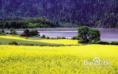 西藏拉萨跟团游，双飞六日游