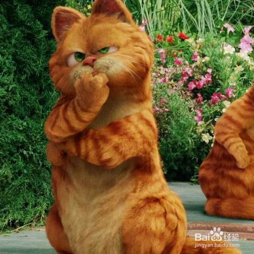 冬天怎么养猫？