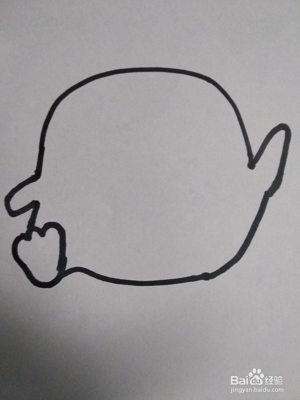 萌萌小鸡仔的简笔画