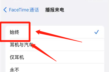 苹果12怎么设置FaceTime通话始终播报来电