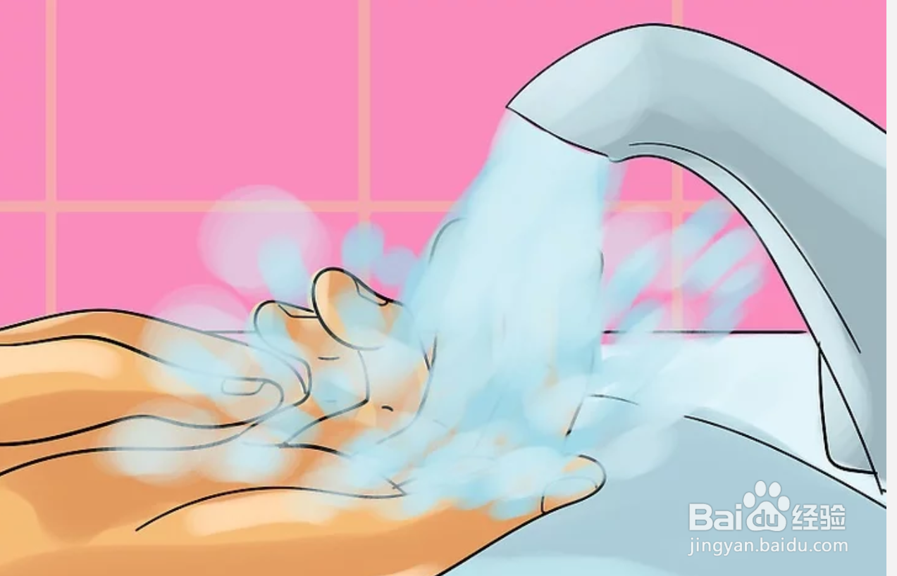 如何保存动物标本