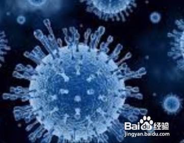耳朵 大疱性鼓膜炎 百度经验 耳朵 大疱性鼓膜炎 百度经验