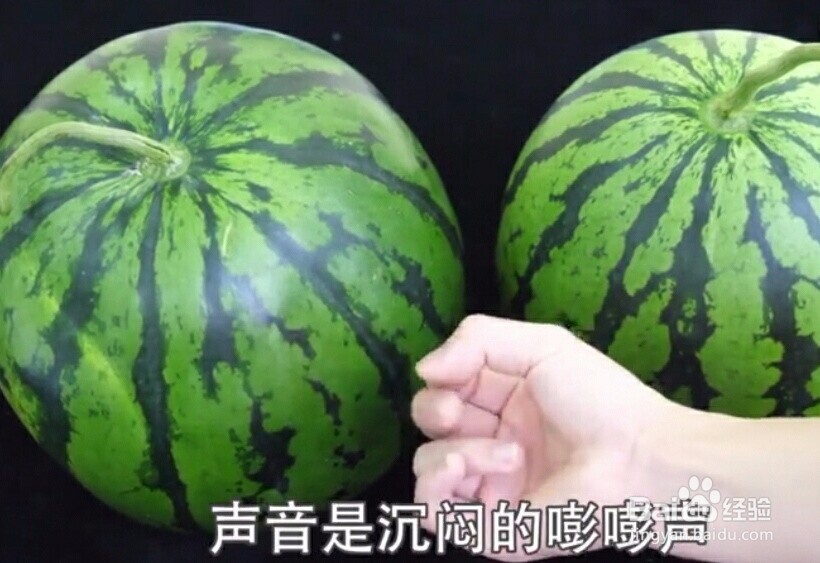 如何挑选又甜又新鲜的西瓜？