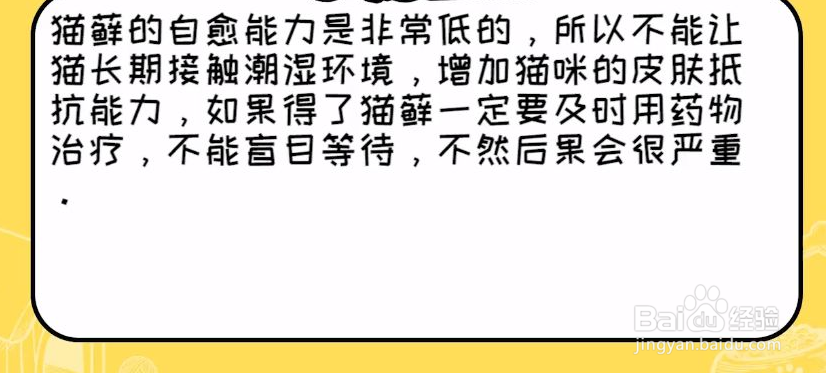小猫怎么预防猫癣