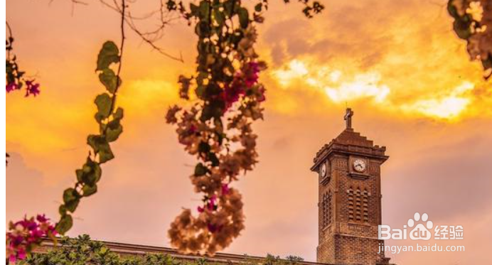 别再等等了，这个冬天，带上家人去旅行吧