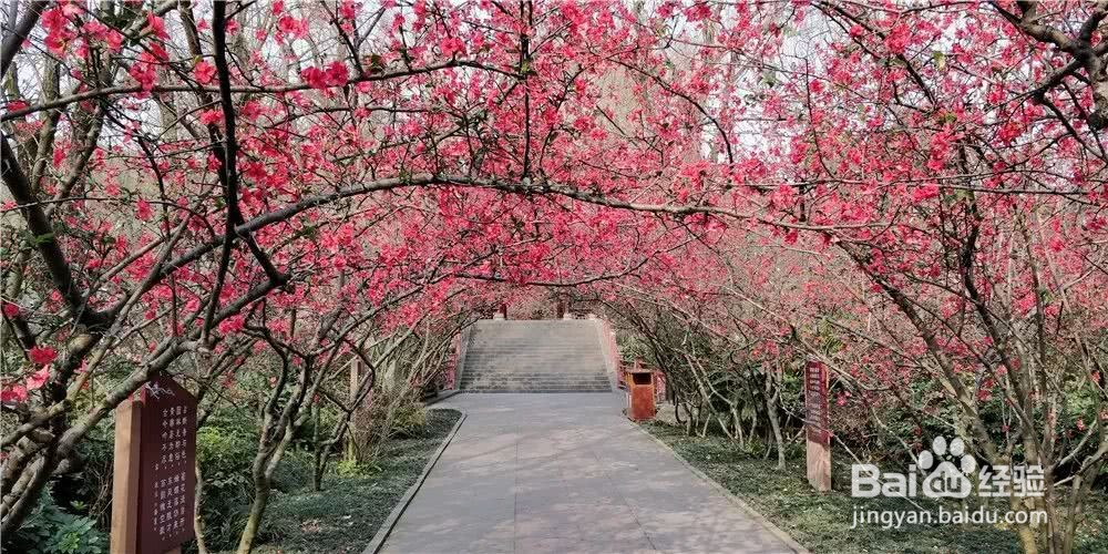 太平镇有什么好玩的地方