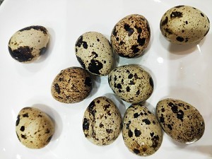 招财进宝——香菇鹌鹑蛋的做法