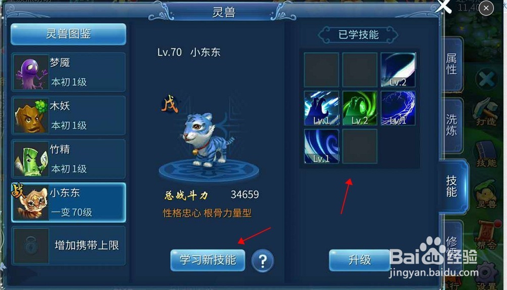 小虎咪怎么加点