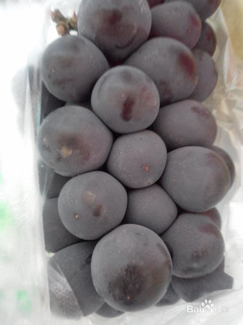 葡萄与提子的区别