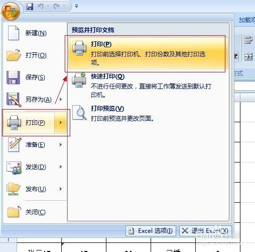 如何在Excel 2007中打印指定页面