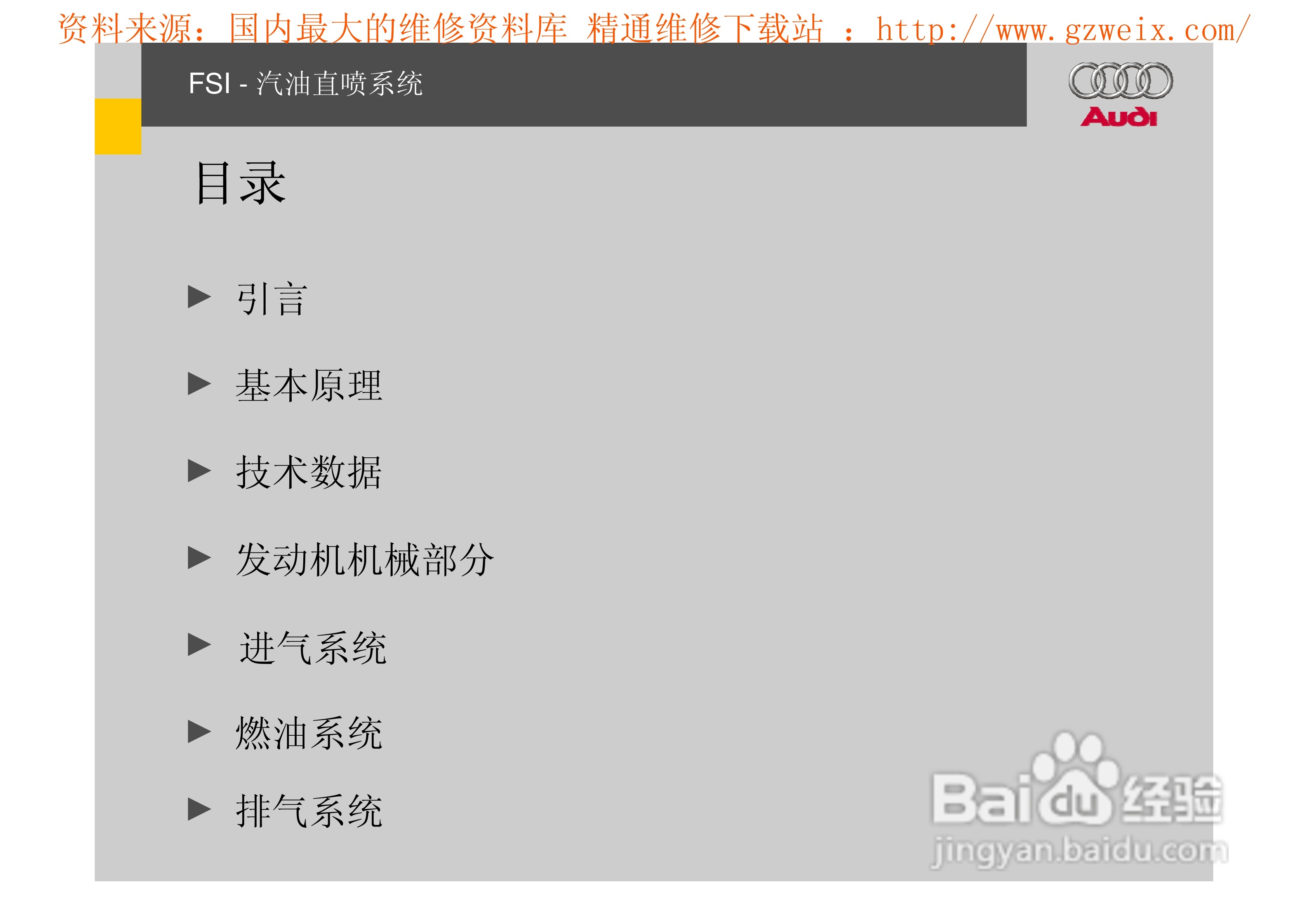 奥迪原厂FSI汽油直喷系统教程:[1]