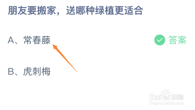 朋友要搬家送哪种绿植更适合