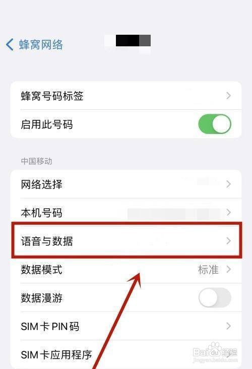 苹果怎么开启5G？