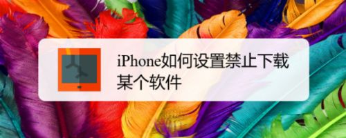 iPhone如何设置禁止下载某个软件