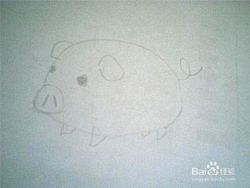简笔画猪的画法: