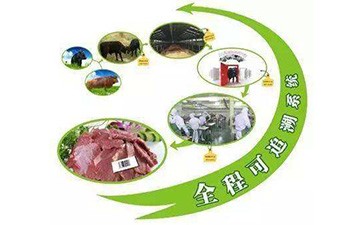 追溯系统能带来什么好处