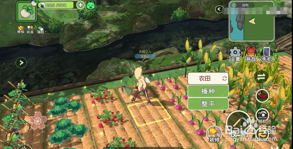 小森生活泡菜炸鸡怎么解锁