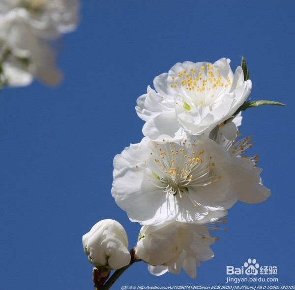 北京旅游攻略：[22]海淀公园