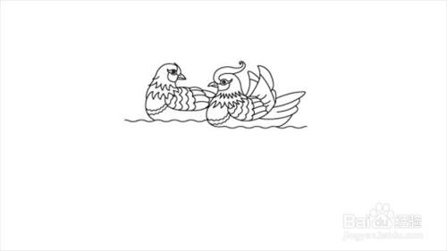 鸳鸯怎么画才好看