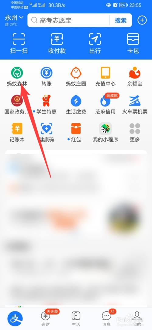 支付宝上买火车票可以获得多少能量？