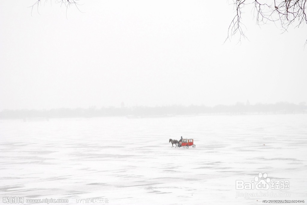 雪国风光—冬季结伴去哈尔滨吧！：[2]哈尔滨
