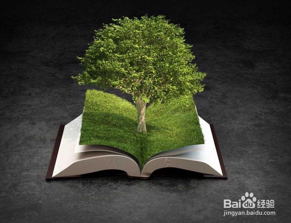 我们怎么看世界