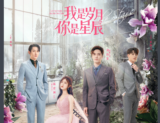 《我是岁月你是星辰》多少集