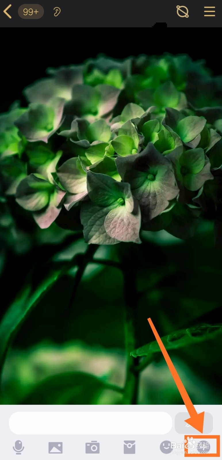 手机QQ群怎么匿名聊天 发送匿名消息