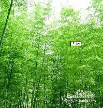 怎么样减肥好？