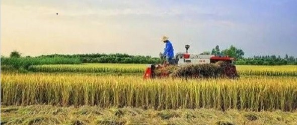 公秋是什么意思