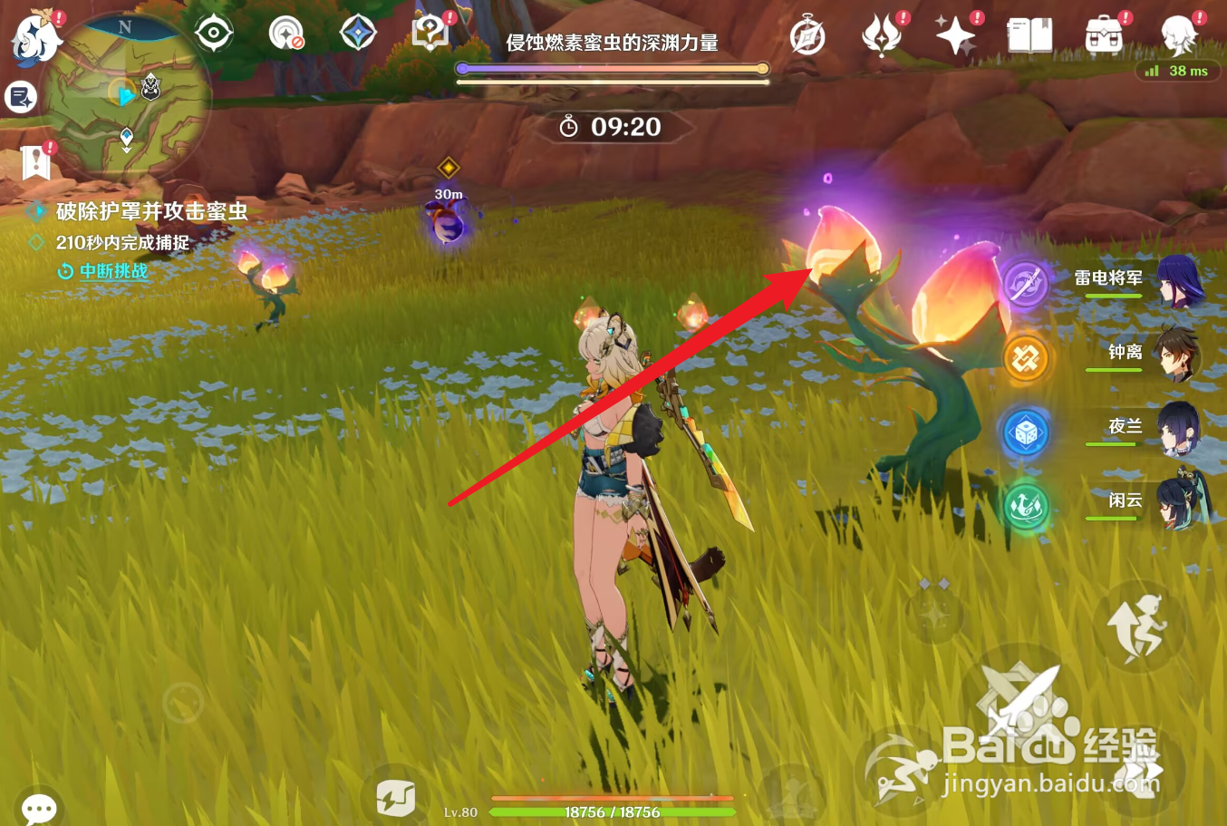 原神怎么捕捉蜜虫
