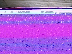 食补佳品超鲜番茄冬瓜菌菇豆腐汤的做法