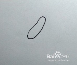 简笔画：花卉画法教程
