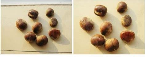剥板栗的小技巧