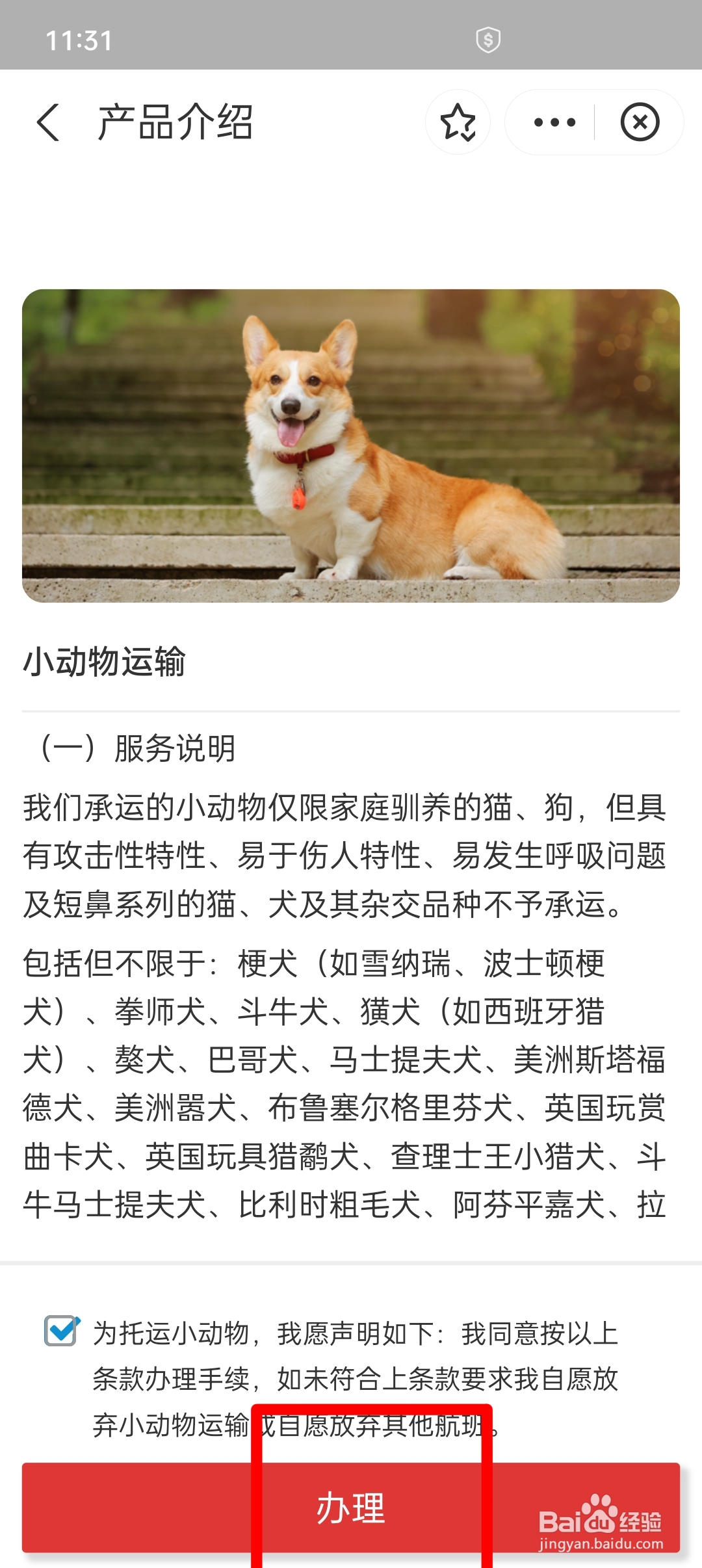狗狗托运飞机托运怎样办理手续