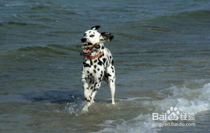 微博怎么样才能涨粉丝