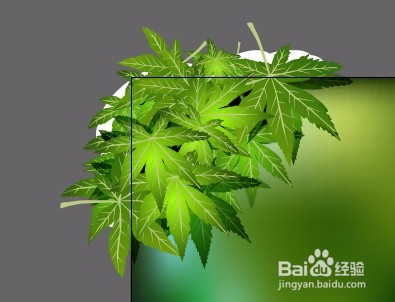 AI教程森林绘制Illustrator cs6