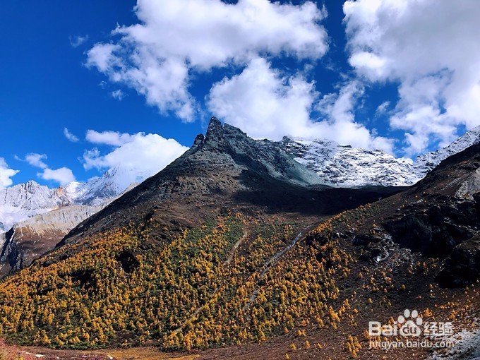 有一个地方叫做稻城 稻城之旅