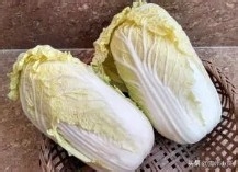 白叶、绿叶大白菜和娃娃菜的区别？