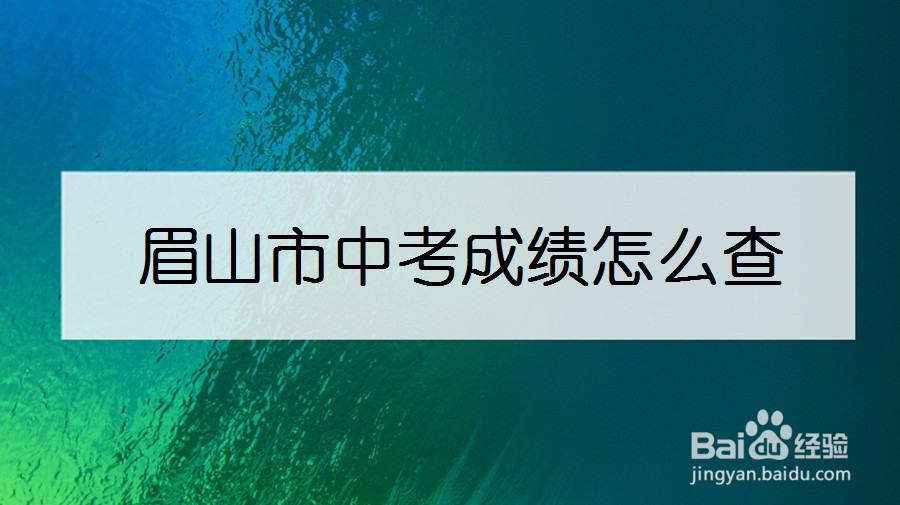 眉山市中考成绩怎么查