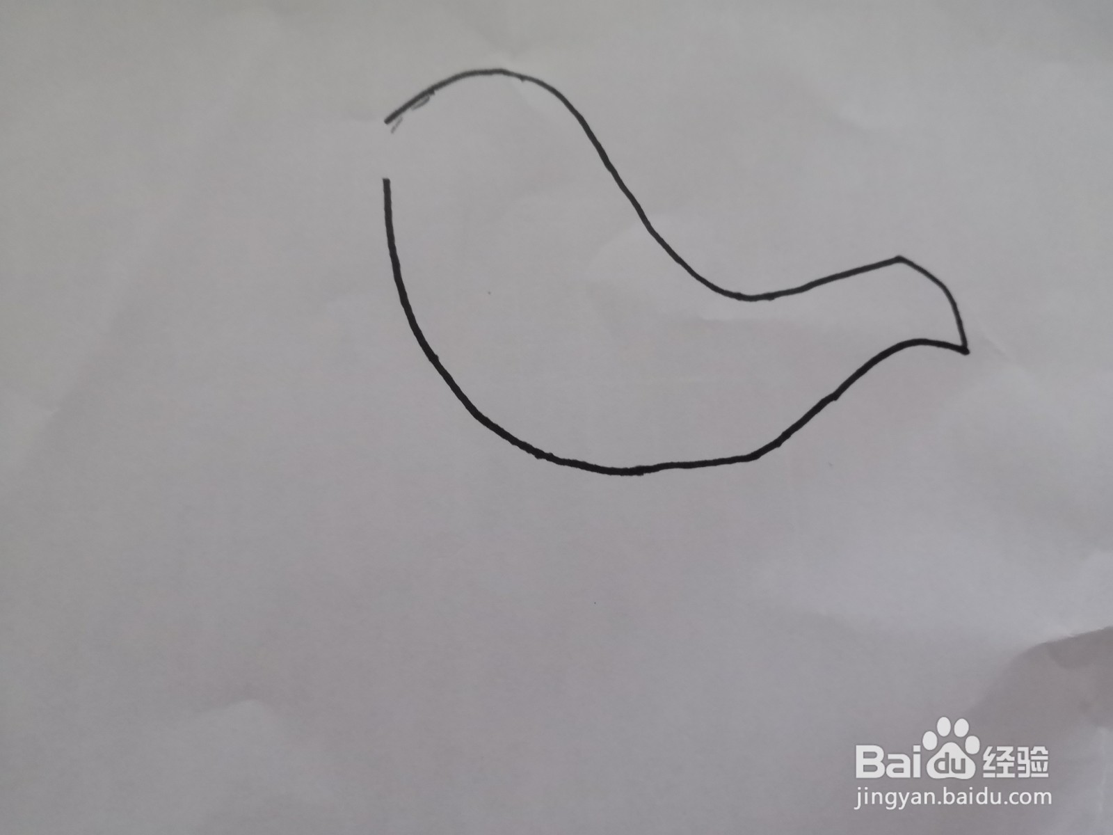 可爱的黄鹂鸟画法