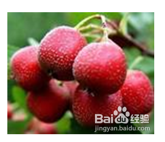 高血压吃什么好?