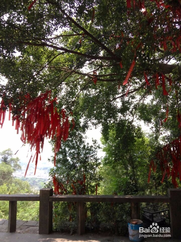 漳州云洞岩一日游